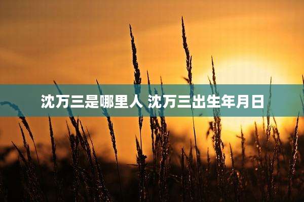 沈万三是哪里人 沈万三出生年月日