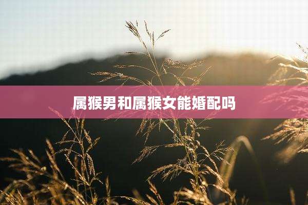 属猴男和属猴女能婚配吗