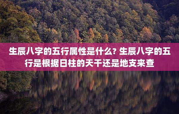 生辰八字的五行属性是什么? 生辰八字的五行是根据日柱的天干还是地支来查