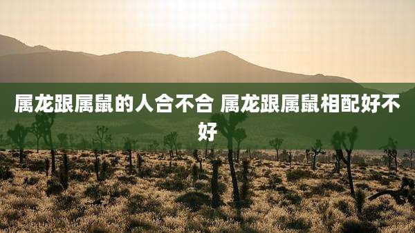 属龙跟属鼠的人合不合 属龙跟属鼠相配好不好