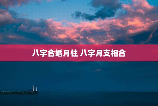 八字合婚月柱 八字月支相合