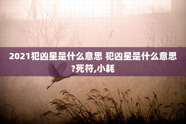 2021犯凶星是什么意思 犯凶星是什么意思?死符,小耗