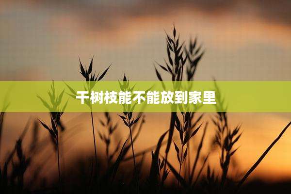 干树枝能不能放到家里