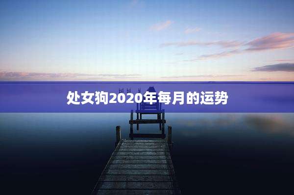 处女狗2020年每月的运势
