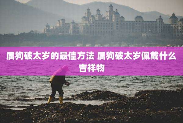 属狗破太岁的最佳方法 属狗破太岁佩戴什么吉祥物