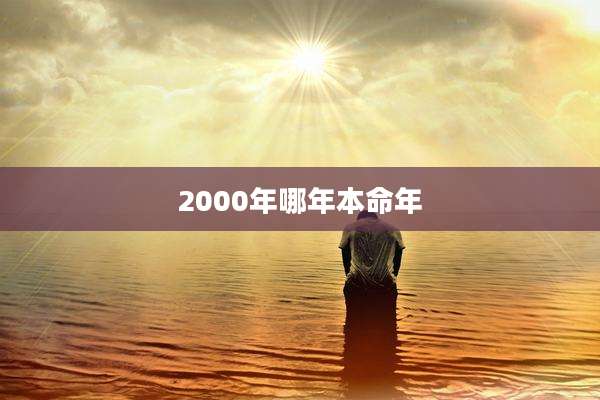 2000年哪年本命年