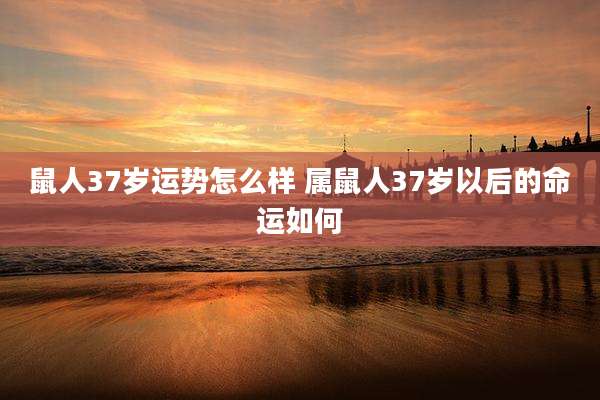 鼠人37岁运势怎么样 属鼠人37岁以后的命运如何