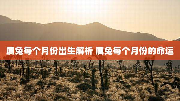 属兔每个月份出生解析 属兔每个月份的命运