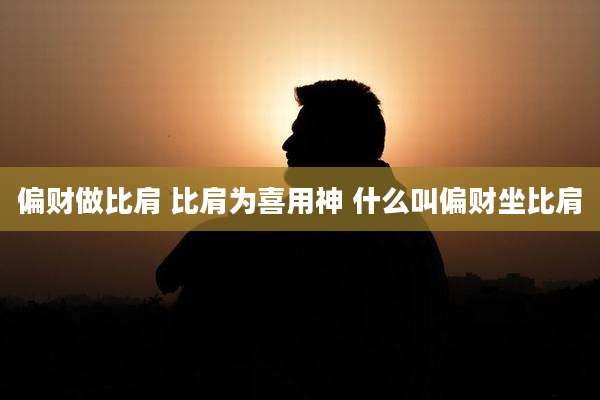 偏财做比肩 比肩为喜用神 什么叫偏财坐比肩