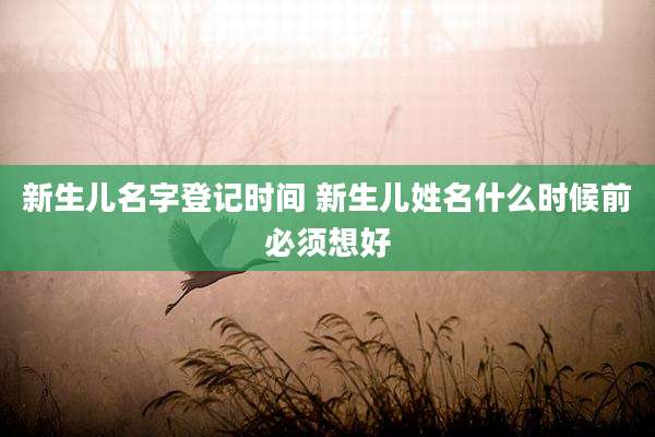 新生儿名字登记时间 新生儿姓名什么时候前必须想好