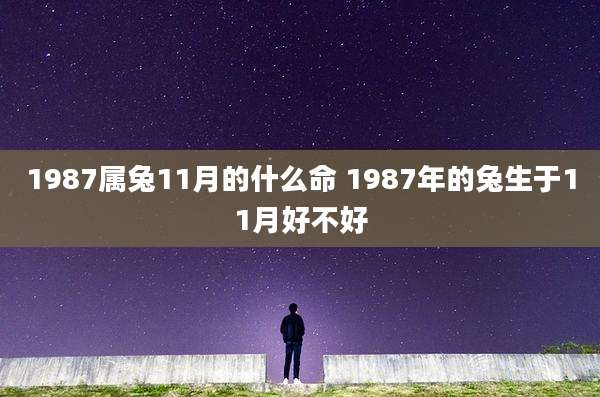 1987属兔11月的什么命 1987年的兔生于11月好不好