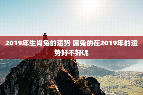 2019年生肖兔的运势 属兔的在2019年的运势好不好呢