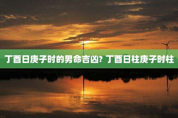 丁酉日庚子时的男命吉凶? 丁酉日柱庚子时柱