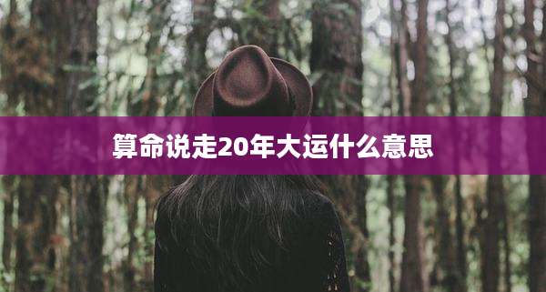 算命说走20年大运什么意思
