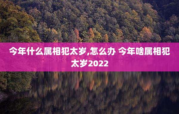 今年什么属相犯太岁,怎么办 今年啥属相犯太岁2022