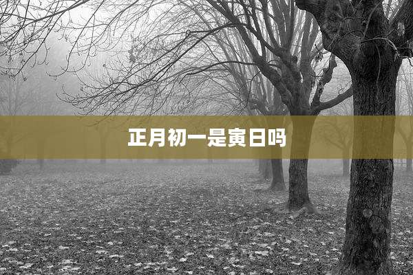 正月初一是寅日吗