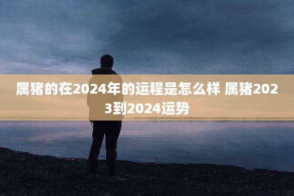 属猪的在2024年的运程是怎么样 属猪2023到2024运势