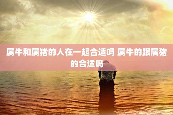 属牛和属猪的人在一起合适吗 属牛的跟属猪的合适吗