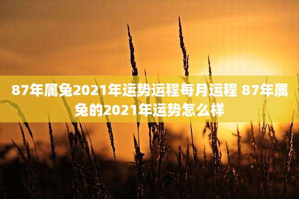 87年属兔2021年运势运程每月运程 87年属兔的2021年运势怎么样
