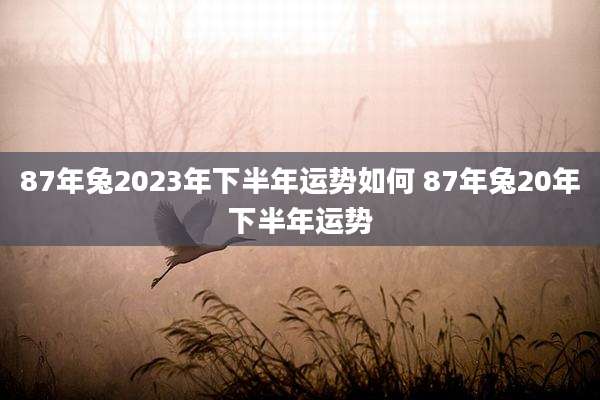 87年兔2023年下半年运势如何 87年兔20年下半年运势