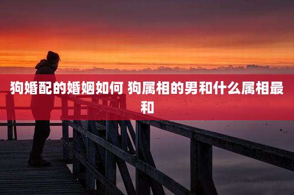 狗婚配的婚姻如何 狗属相的男和什么属相最和