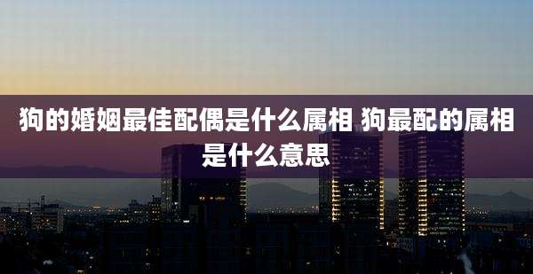 狗的婚姻最佳配偶是什么属相 狗最配的属相是什么意思
