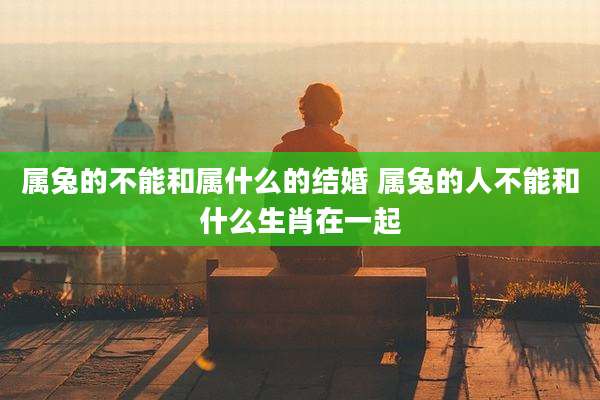 属兔的不能和属什么的结婚 属兔的人不能和什么生肖在一起