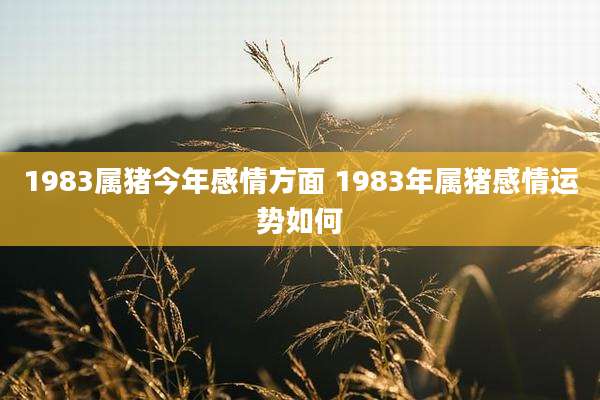 1983属猪今年感情方面 1983年属猪感情运势如何