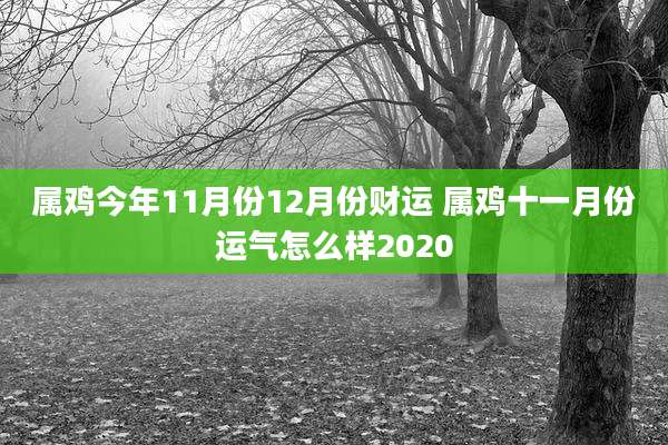 属鸡今年11月份12月份财运 属鸡十一月份运气怎么样2020