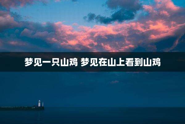 梦见一只山鸡 梦见在山上看到山鸡