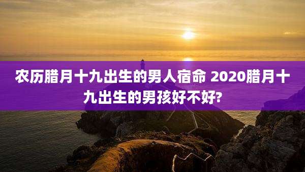 农历腊月十九出生的男人宿命 2020腊月十九出生的男孩好不好?