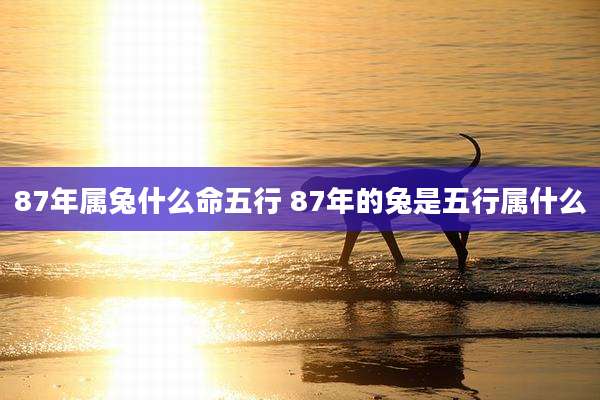 87年属兔什么命五行 87年的兔是五行属什么