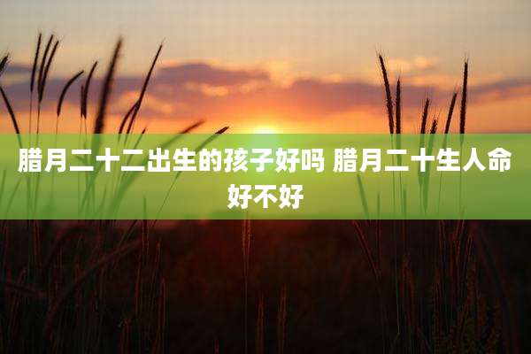 腊月二十二出生的孩子好吗 腊月二十生人命好不好