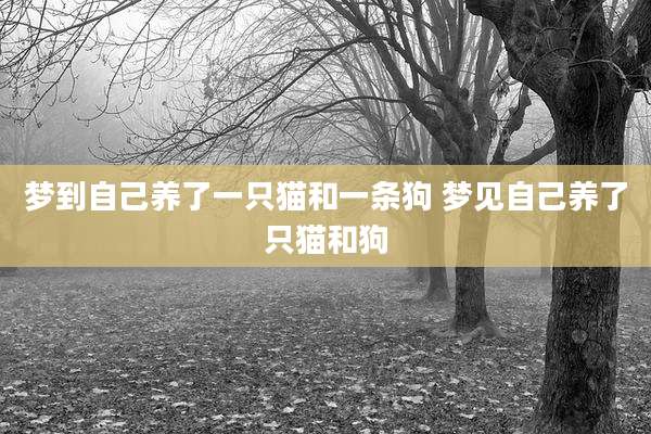 梦到自己养了一只猫和一条狗 梦见自己养了只猫和狗