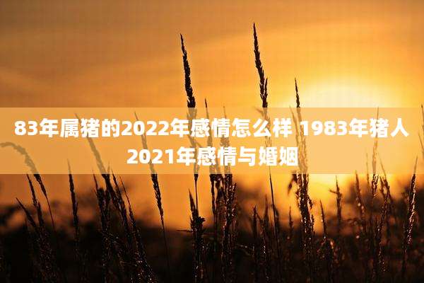 83年属猪的2022年感情怎么样 1983年猪人2021年感情与婚姻