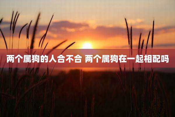 两个属狗的人合不合 两个属狗在一起相配吗