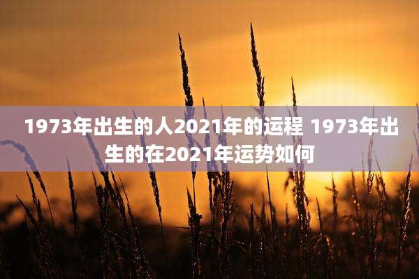 1973年出生的人2021年的运程 1973年出生的在2021年运势如何