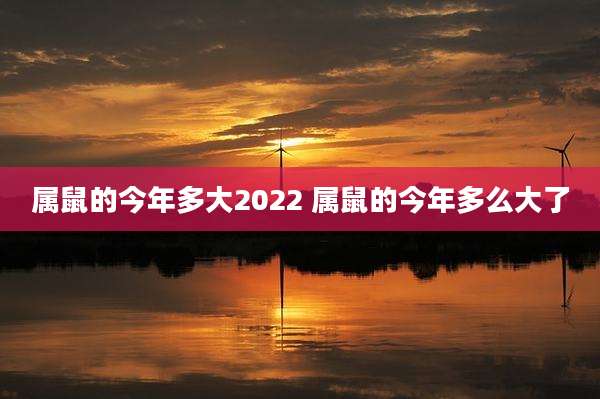 属鼠的今年多大2022 属鼠的今年多么大了