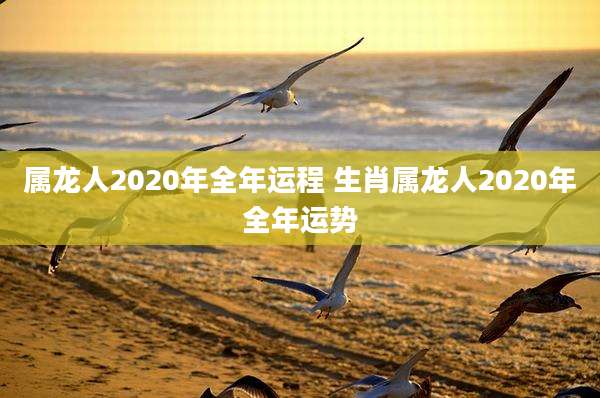 属龙人2020年全年运程 生肖属龙人2020年全年运势
