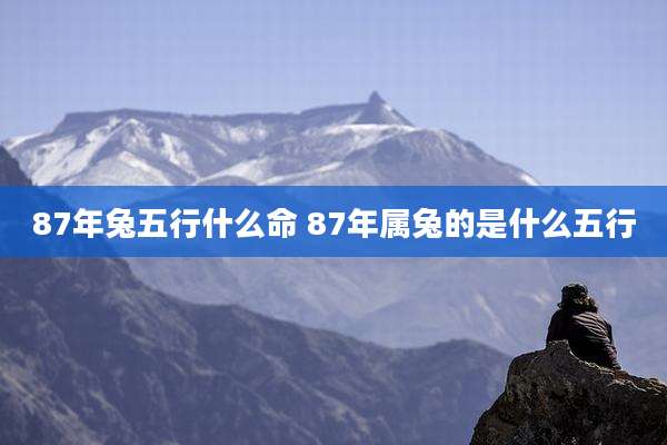 87年兔五行什么命 87年属兔的是什么五行