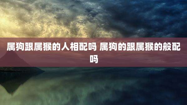 属狗跟属猴的人相配吗 属狗的跟属猴的般配吗