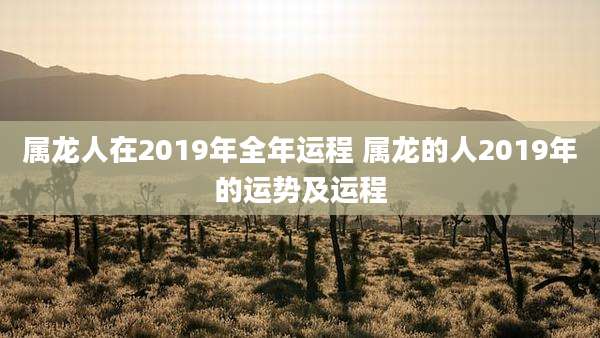 属龙人在2019年全年运程 属龙的人2019年的运势及运程