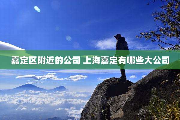 嘉定区附近的公司 上海嘉定有哪些大公司