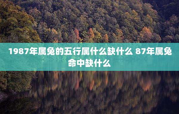 1987年属兔的五行属什么缺什么 87年属兔命中缺什么