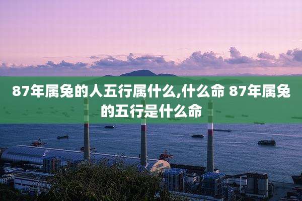 87年属兔的人五行属什么,什么命 87年属兔的五行是什么命