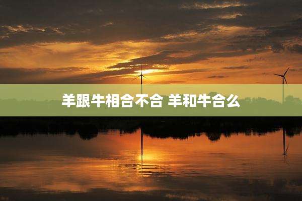 羊跟牛相合不合 羊和牛合么
