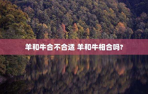 羊和牛合不合适 羊和牛相合吗?