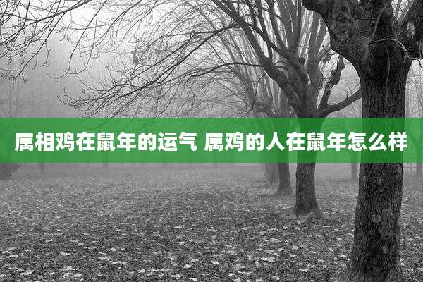 属相鸡在鼠年的运气 属鸡的人在鼠年怎么样