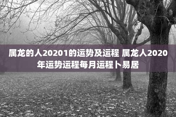 属龙的人20201的运势及运程 属龙人2020年运势运程每月运程卜易居