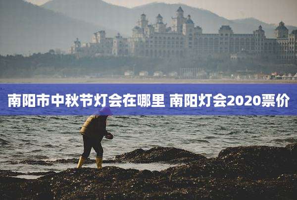 南阳市中秋节灯会在哪里 南阳灯会2020票价